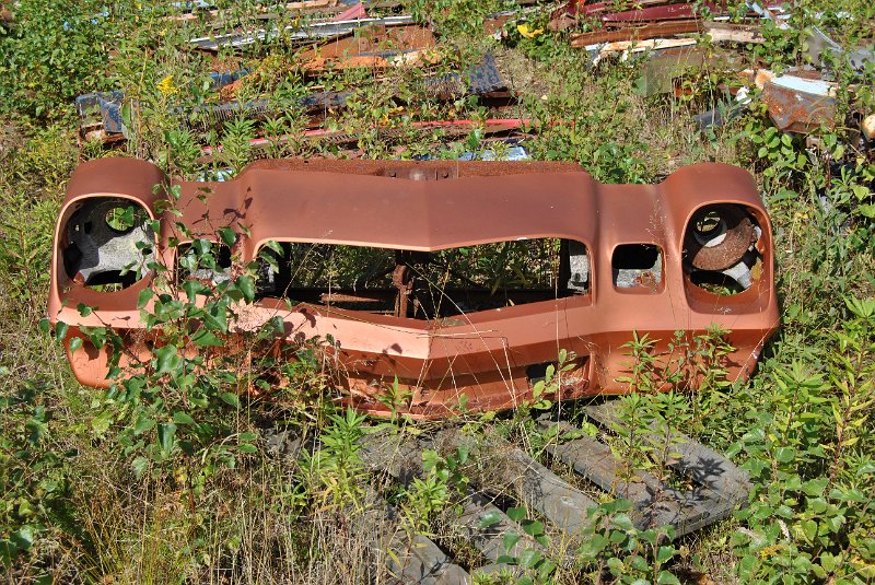DSC_0219.JPG