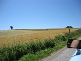 DSC03440