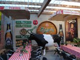 DSC 0441