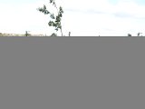 DSC 0315