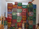 DSC 0437