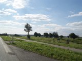 DSC06195