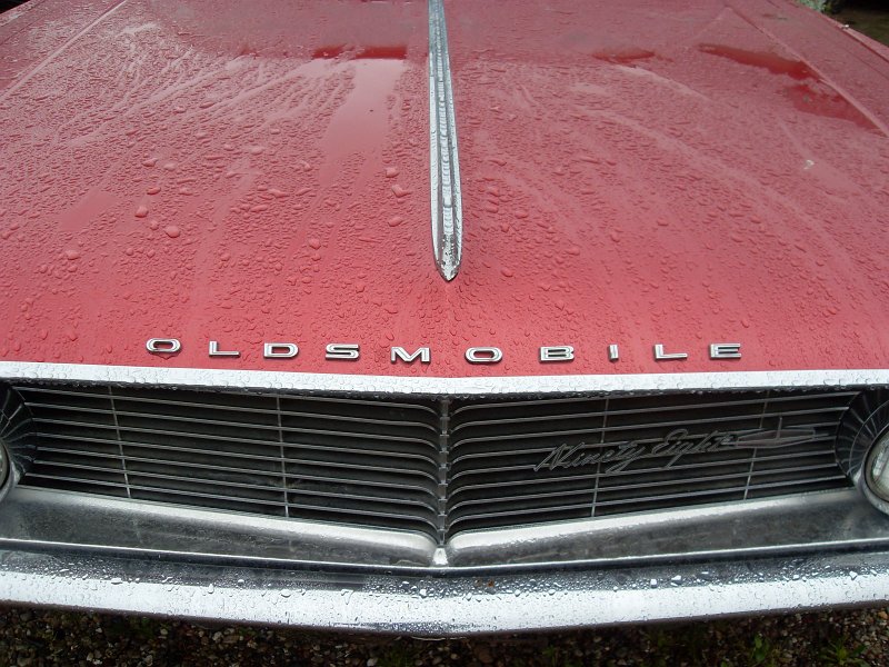 SDC10594.JPG