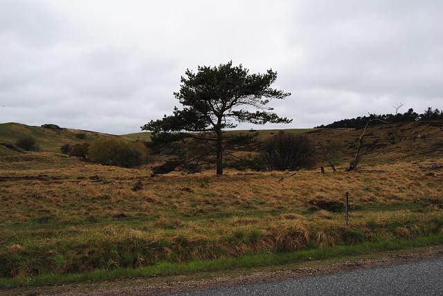 DSC_0127.JPG